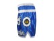 Lumpinee Muay Thai Shorts - Thaiboxhosen : LUM-015